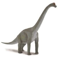Brachioosaurus CO88121