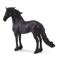 Friesian Stallion XL CO88439