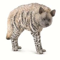 STRIPED HYENA M CO88566