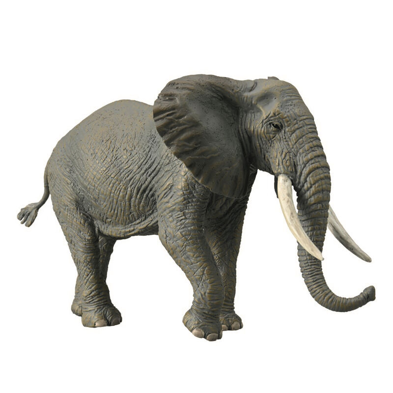 African Elephant XL CO88966