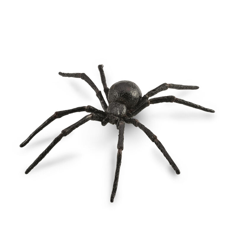 Black Widow Spider L CO88884