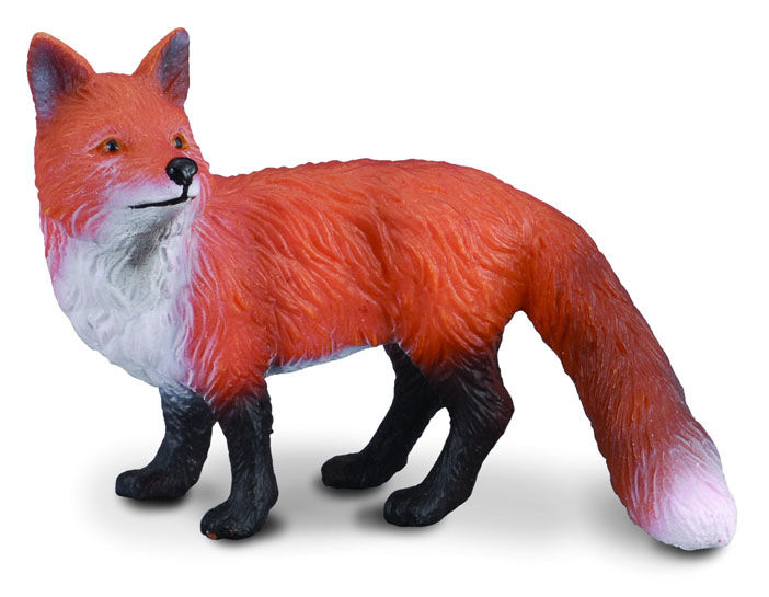 CO88001 Red Fox