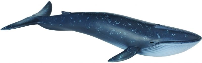 CO88044 Blue Whale