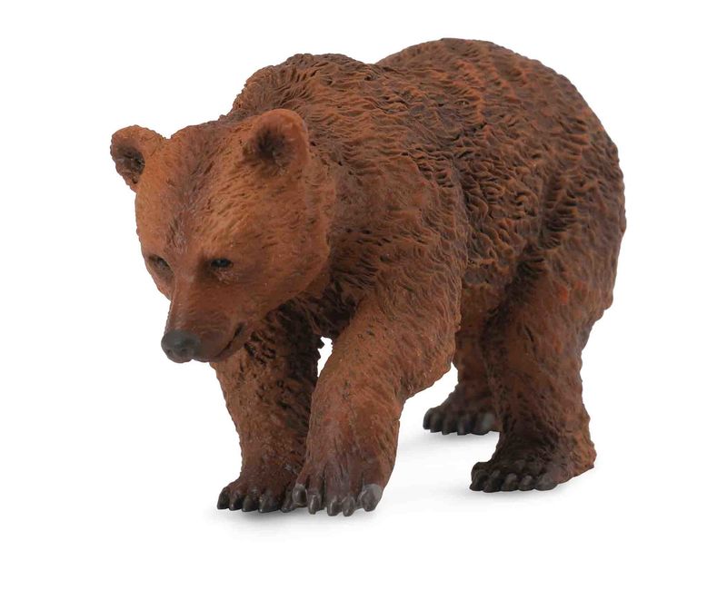 CO88561 Brown Bear Cub
