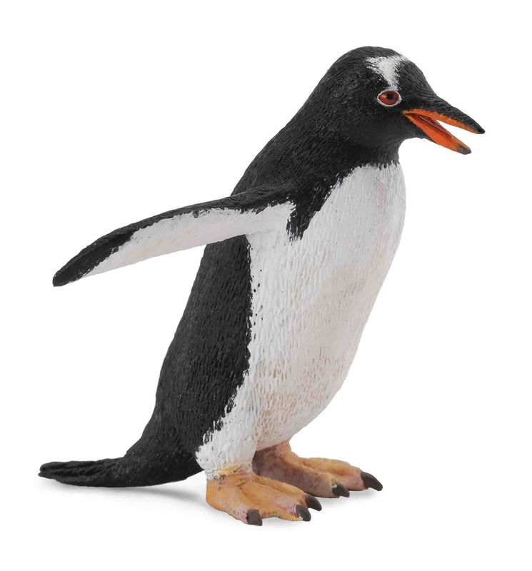 CO88589 Gentoo Penguin