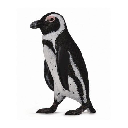 CO88710 South African Penguin S