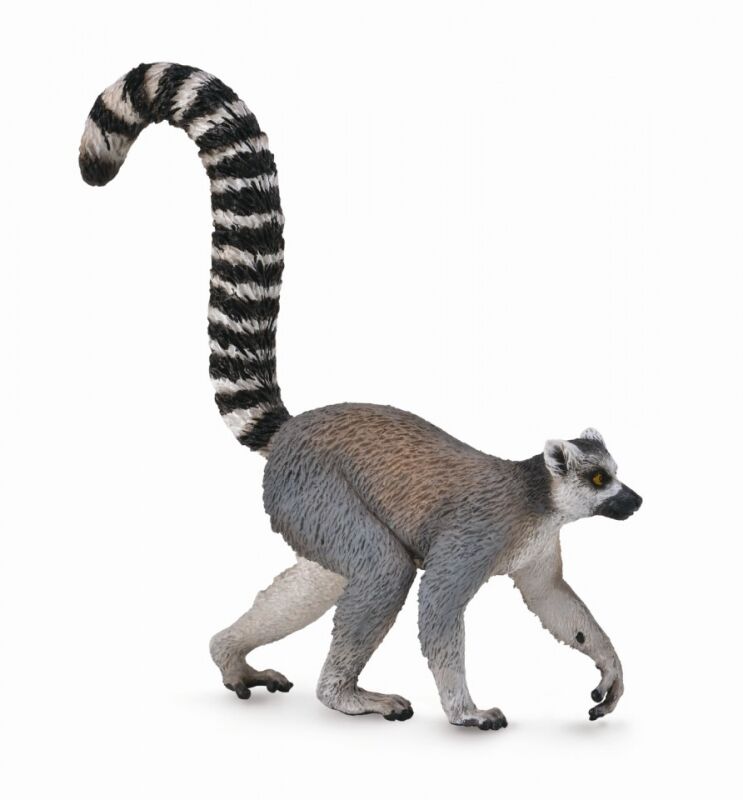 CO88831 Ring Tailed Lemur M