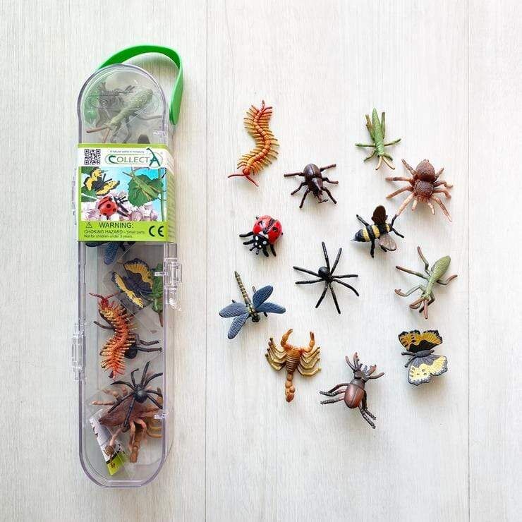CO89A1106 Insects and Spiders 12 pce Gift Set