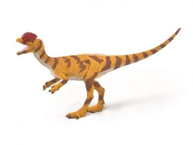 Dilophosaurus L CO88923