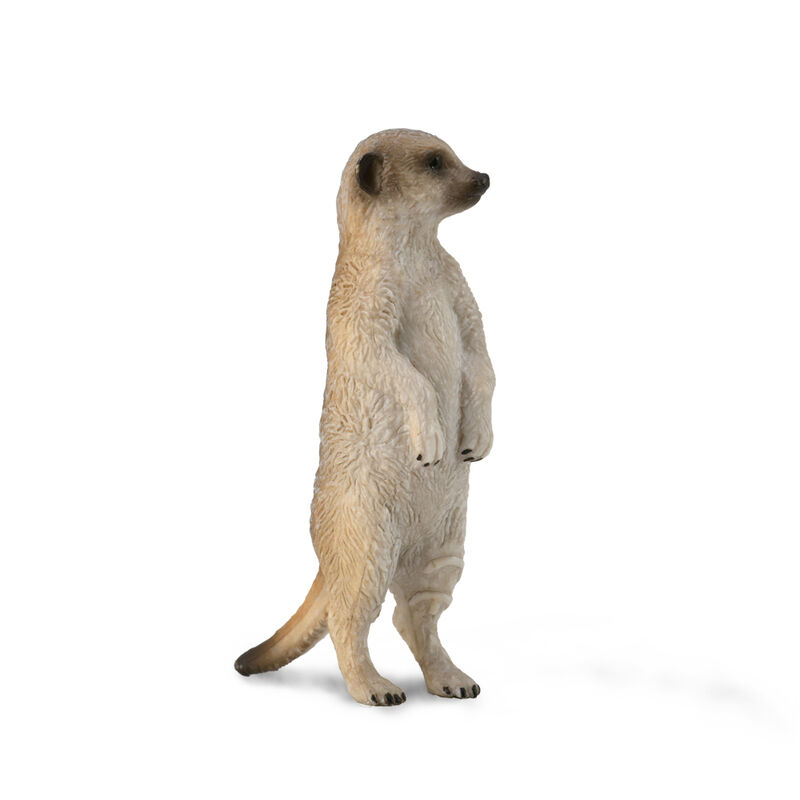Meerkat  Standing S CO88913