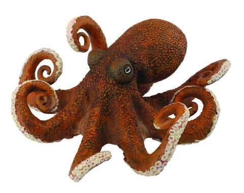 Octopus XL CO 88485