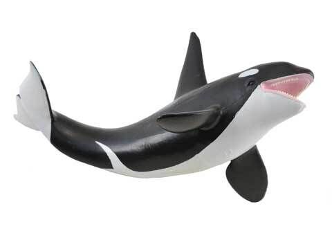 Orca XL CO88043