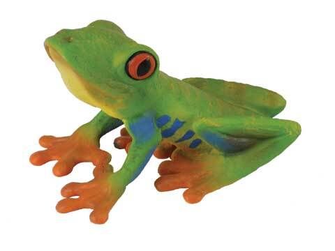 RedEyed Tree Frog M 