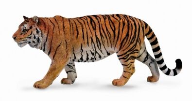 Siberian Tiger XL CO88789