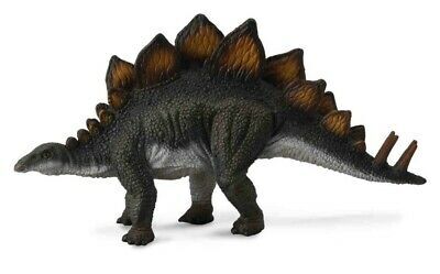 Stegosaurus CO88576