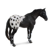 Appaloosa Stallion Black (XL) CO88437