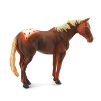 Appaloosa Stallion Chestnut XL CO88436