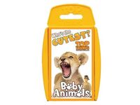 Baby Animals