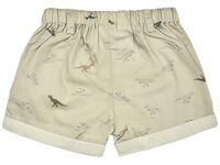 Baby Shorts Dinosauria