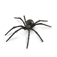 Black Widow Spider (L) CO88884