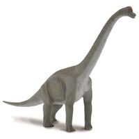 Brachiosaurus (L) CO88121
