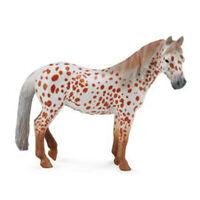 British Spotted Pony Mare(XL) CO88750