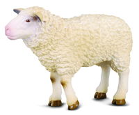 CO88008 Sheep