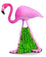 Flamingo (M) CO88207