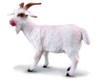 Billy Goat (M) CO88212