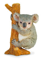 Koala Climbing (S) CO88356