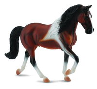 CO88450 Tennessee Walking Horse Stallion Bay Pinto XL