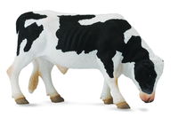 Friesian Bull (L) CO88482 