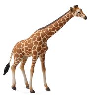 Reticulated Giraffe (XL) CO88534 