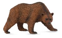 Brown Bear (L) CO88560 