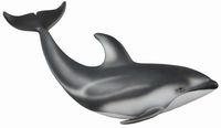 CO88612 Pacific WhiteSided Dolphin