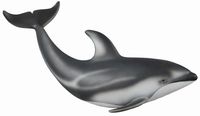 Pacific White-Sided Dolphin (M) CO88612 