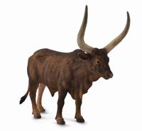 Ankole-Watusi Bull (L) CO88648 