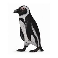 South African Penguin (S) CO88710 