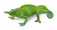 Cameroon Sailfin Chameleon (L)CO88805 