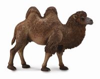 Bactrian Camel (XL) CO88807 