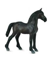 Friesian Foal - Black (M) CO88815 