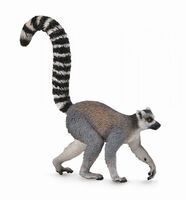 Ring -Tailed Lemur (M)CO88831 