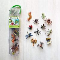 Insects and Spiders 12 pce Gift Set CO89A1106