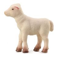 CO 88009 Lamb Standing S
