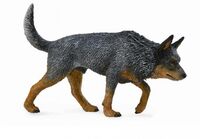 Australian Cattle Dog (L) CO 88672 