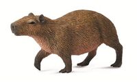 Capybara (M) CO88540
