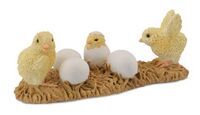 Chicks Hatching (S)CO88480