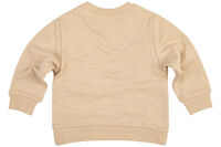DT SWT MAP Sweat Top  Maple
