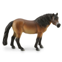 Exmoor Pony Stallion (L) CO88873