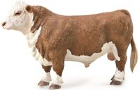 Hereford Bull Polled (L)  CO88861